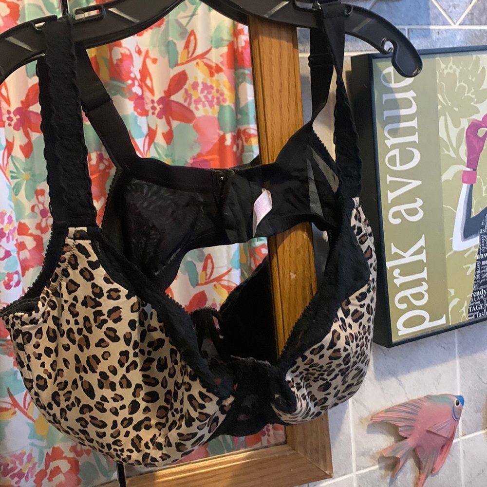 Cacique bra